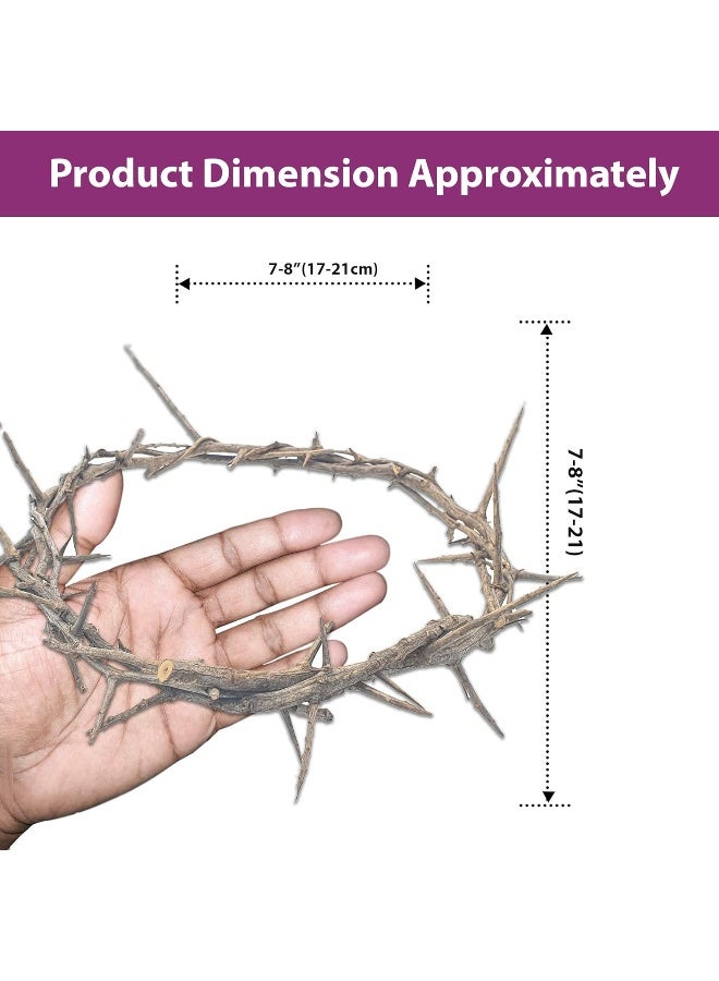 Zuluf Jerusalem Authentic Biblical Lifesize Real Crown of Thorns with Box & Certificate - Image 2